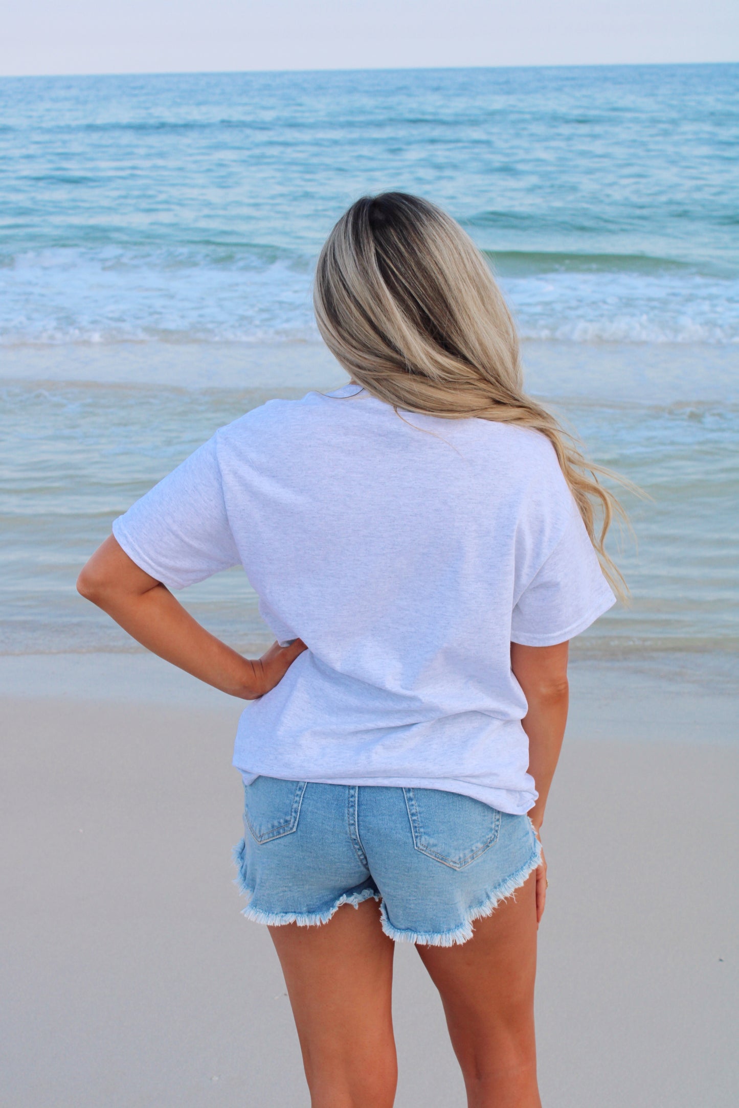 Ash Grey USA Letter Tee